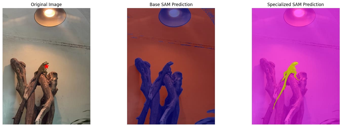 Special-SAM: Foundation Model Fine-Tuning